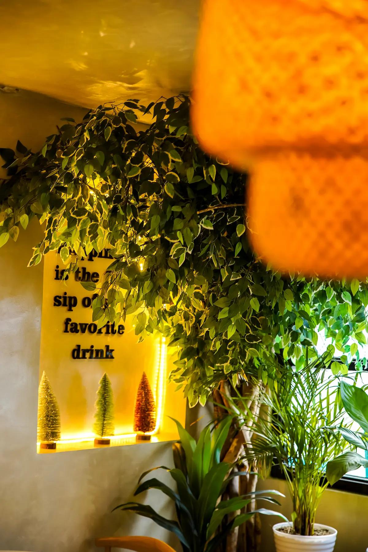 An aesthetic image of the plants and decoration inside Teaholic